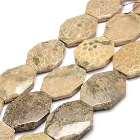 Natural Fossil Coral Beads Strands, Faceted, Oval
