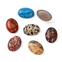 Gemstone Cabochons, Oval, 18x13x5mm