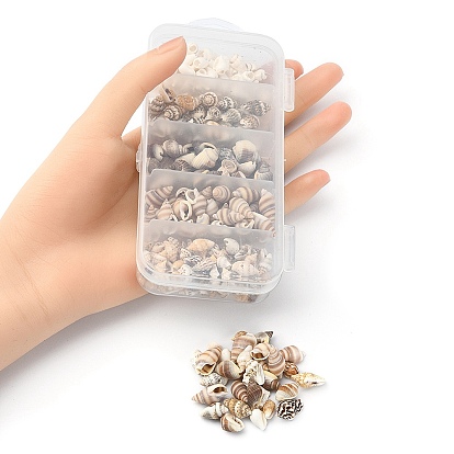 5 styles mélangés de perles de coquillages naturels, sans trou, formes mixtes