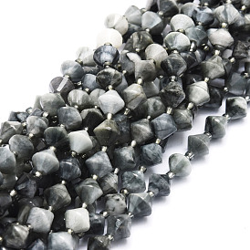 Natural Eagle Eye Stone Beads Strands, Faceted, Bicone