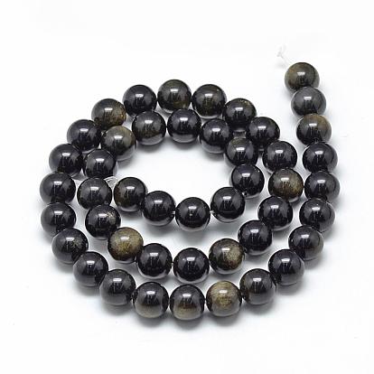 Natural Golden Sheen Obsidian Beads Strands, Grade AB, Round