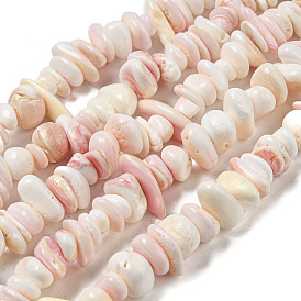 Natural Seashell Shell Beads Strands, Nuggets