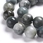 Natural Eagle Eye Beads Strands, Round