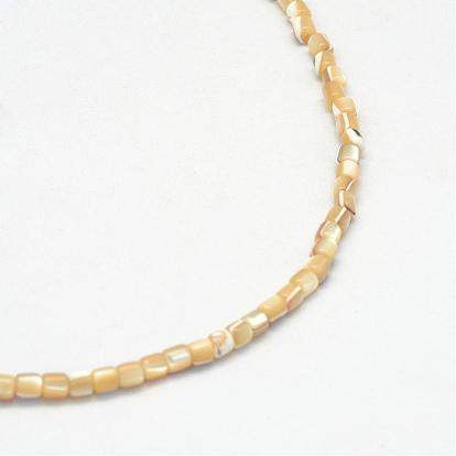 Natural Trochid Shell/Trochus Shell Bead Strands, Oval, 3x3mm, Hole: 1mm, about 135~140pcs/strand, 15.7 inch