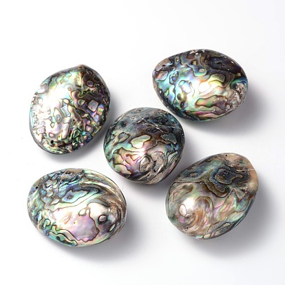Perles de coquillage paua naturelles ovales, 50~65x36~40x16.5~20mm, Trou: 1mm