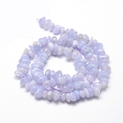 Natural Blue Lace Agate Chip Beads Strands, 5~14x4~10mm, Hole: 1mm, about 15.5 inch ~16.1 inch