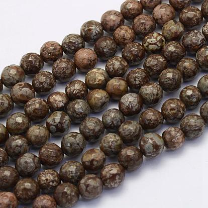 Natural Snowflake Obsidian Beads Strands, Round, Faceted