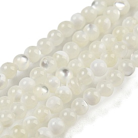 Brins de perles de coquille de trochid / trochus shell, ronde