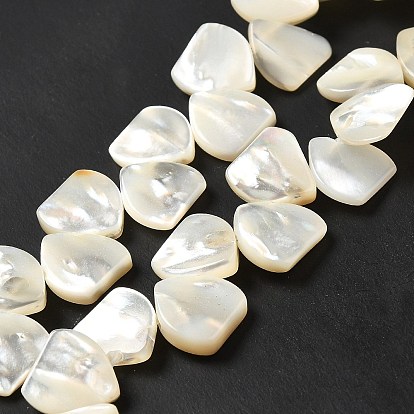 Shell normal de perles blanches de brins, triangle