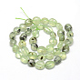 Natural Prehnite Beads Strands, Oval