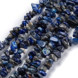 Natural Lapis Lazuli Beads Strands, Grade AB, Chip