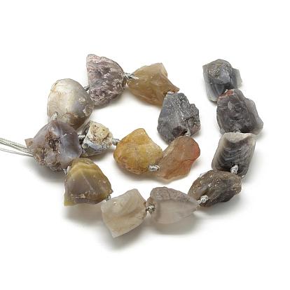 Natural Agate Beads Strands, Nuggets, Rough Raw Stone