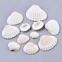 Natural Shell Beads, Undrilled/No Hole Beads