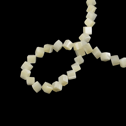 Cube Natural Trochid Shell/Trochus Shell Beads Strands, 6x6x6mm, Hole: 1mm, about 76pcs/strand, 15.7 inch