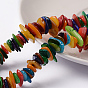 Natural Shell Chip Beads Strands, Shell Shards, Dyed, 5~7x1~2mm, Hole: 0.8mm