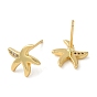 Boucles d'oreilles étoile de mer en laiton plaqué à crémaillère, avec zircons, sans plomb et sans cadmium