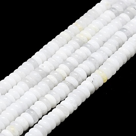 Natural White Moonstone Beads Strands, Disc