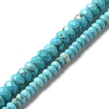 Natural Howlite Beads Strands, Dyed, Faceted, Disc