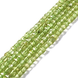 Natural Peridot Beads Strands, Faceted, Cube