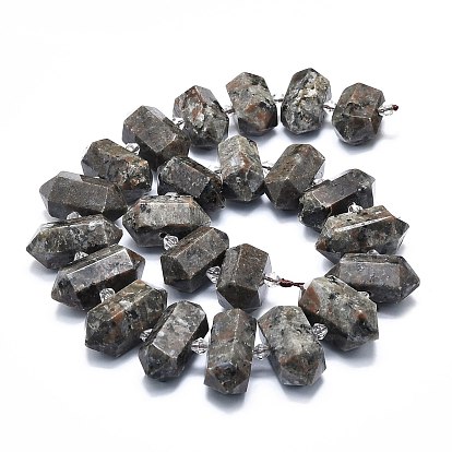 Natural Fluorescent Syenite Rock(Glow under UV Light) Beads Strands, Faceted, Double Terminated Pointed/Bullet