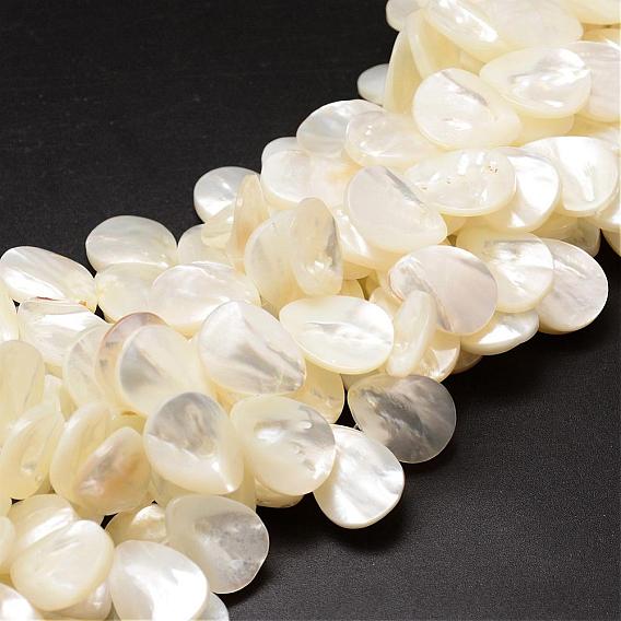 Brins de perles de coquille de trochid / trochus shell, perles percées, larme, 20x15x3~4mm, trou: 1 mm environ 40 perle / Chapelet, 15.75 pouce