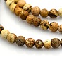 Round Natural Picture Jasper Beads Strands