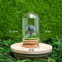 Glass Dome Cover with Natural & Synthetic Gemstone Mushroom Inside, Cloche Bell Jar Terrarium with Cork Base, Micro Landscape Garden Decoration AccessoriesDecoration Accessories