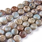 Natural Aqua Terra Jasper Beads Strands, Flat Round