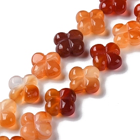 Natural Red Agate Beads Strands, Flower
