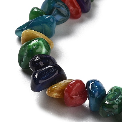 Natural Freshwater Shell Beads Strands, Chip