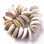 Natural Shell Beads Strands, Half Round