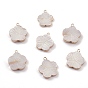 Natural Freshwater Shell Pendants, Flower Charms, with Light Gold Plated Brass Findings