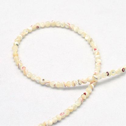 Natural Trochid Shell/Trochus Shell Bead Strands, Round, 2~2.5mm, Hole: 0.3mm, about 175~180pcs/strand, 15.7 inch