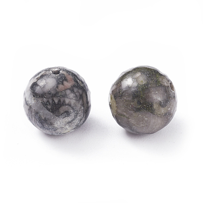 Natural Fossil Beads, Round