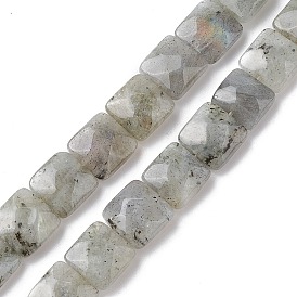 Natural Labradorite Beads Strands, Faceted Square