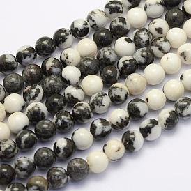 Perles de jaspe naturelles zèbre noir brins, ronde