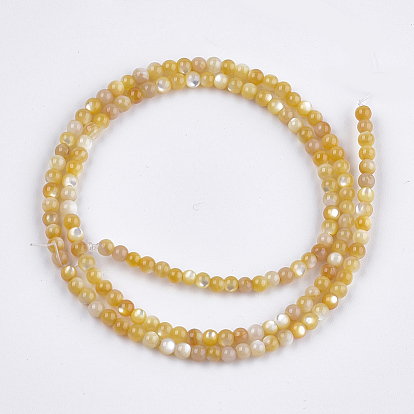 Yellow Shell Beads Strands, Round