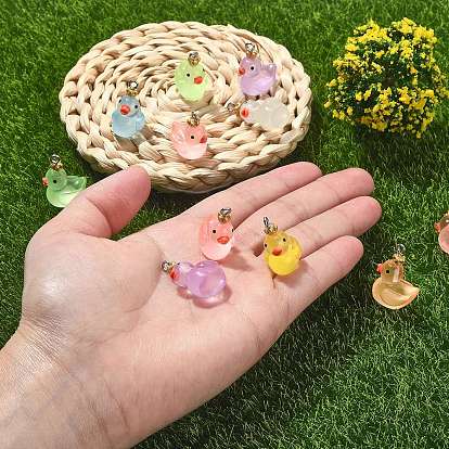 40Pcs 8 Colors Transparent Resin Pendants, Duck Charms with Crown, with Stainless Steel Color Plated 304 Stainless Steel Loops