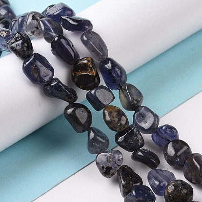 Natural Iolite Beads Strands, Nuggets