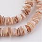 Natural Shell Bead Strands, Rectangle