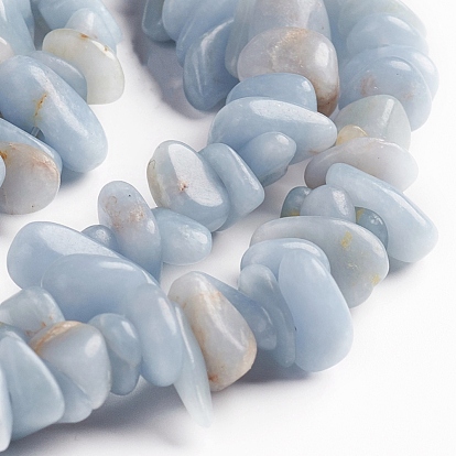 Natural Angelite Chips Beads Strands, Anhydrite Beads