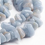 Natural Angelite Chips Beads Strands, Anhydrite Beads