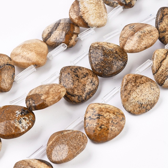 Natural Picture Jasper Beads Strands, Top Drilled Beads, Faceted, Teardrop