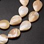 Brins de perles de coquille de trochid / trochus shell, goutte , 17~18x13x4mm, Trou: 1mm, Environ 23 pcs/chapelet, 15.75 pouce