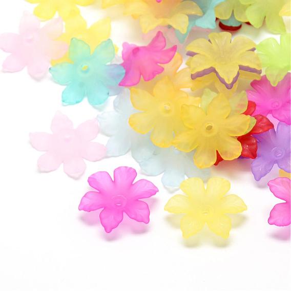 Transparent Acrylic Beads, Flower, Frosted, 6-Petal