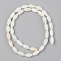 Natural Freshwater Shell Beads Strands, Rice