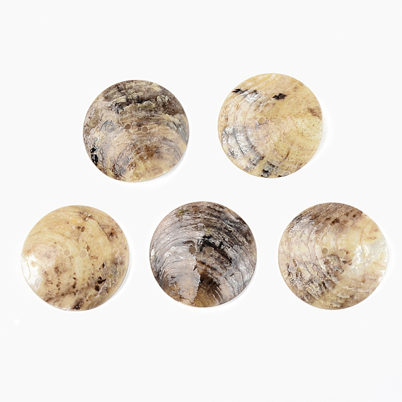 Mother of Pearl Buttons, Natural Akoya Shell Button, Flat Round