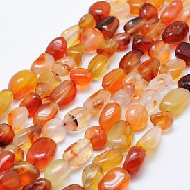 Natural Carnelian Beads Strands, Tumbled Stone, Nuggets