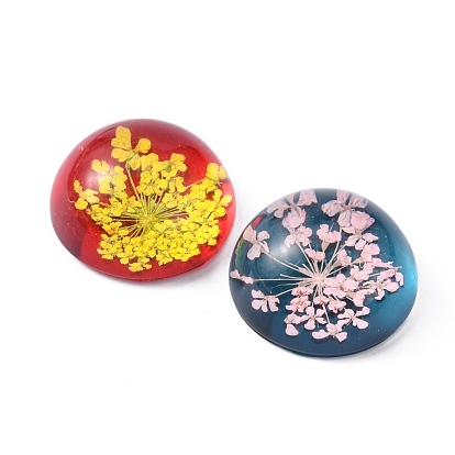 Handmade Glass Flat Back Cabochons, with Dried Flower, Dome/Half Round