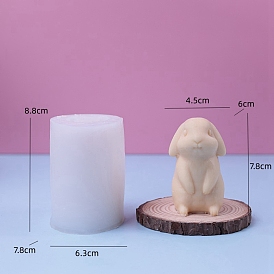 Rabbit Display Decoration DIY Silicone Molds, Resin Casting Molds, for UV Resin, Epoxy Resin Craft Making